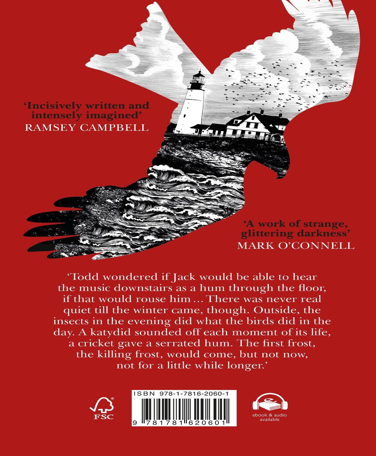Rückseite: 9781781620601 | Hawk Mountain | A highly suspenseful and unsettling literary thriller
