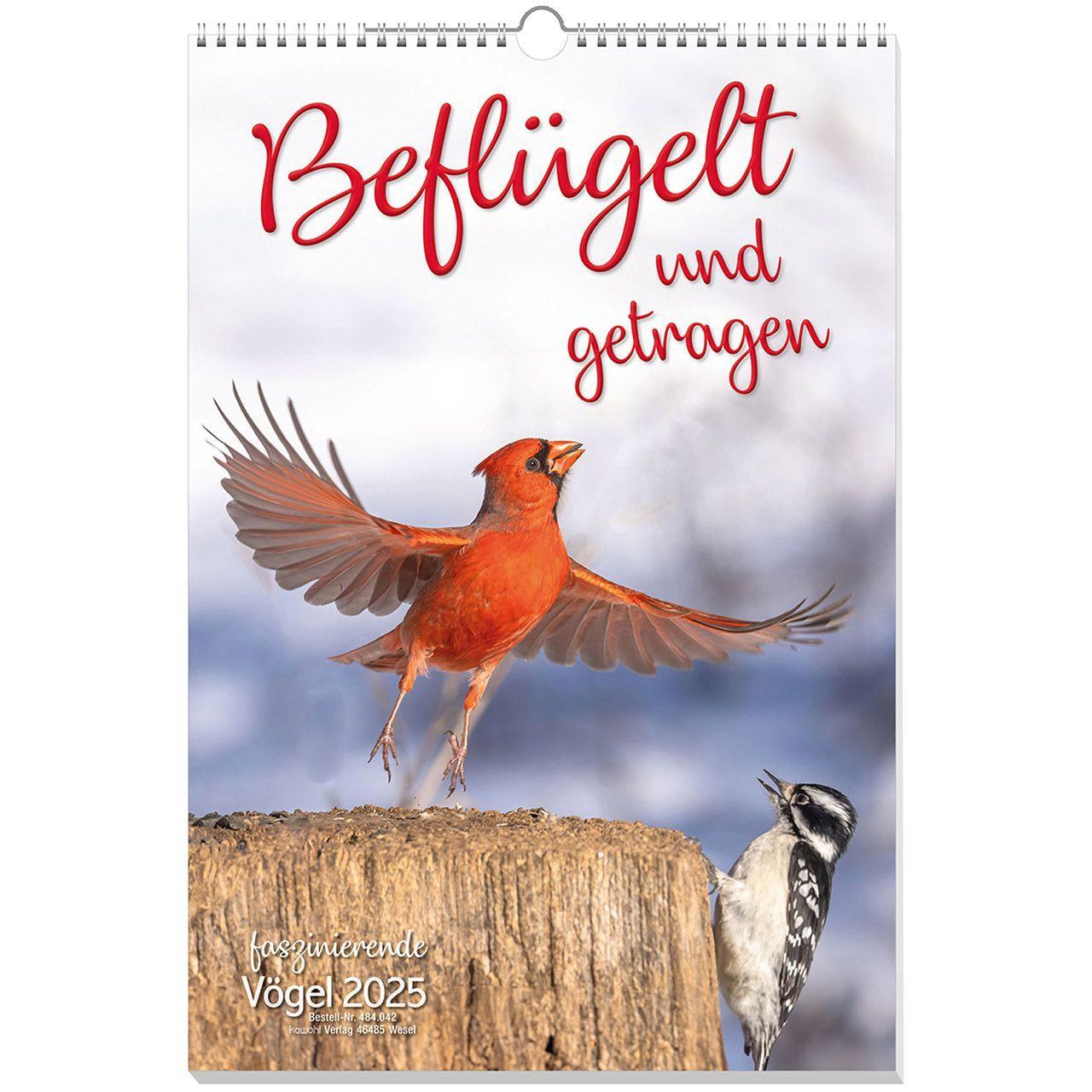 Cover: 9783754804254 | Beflügelt und getragen 2025 | Kalender | 14 S. | Deutsch | 2025