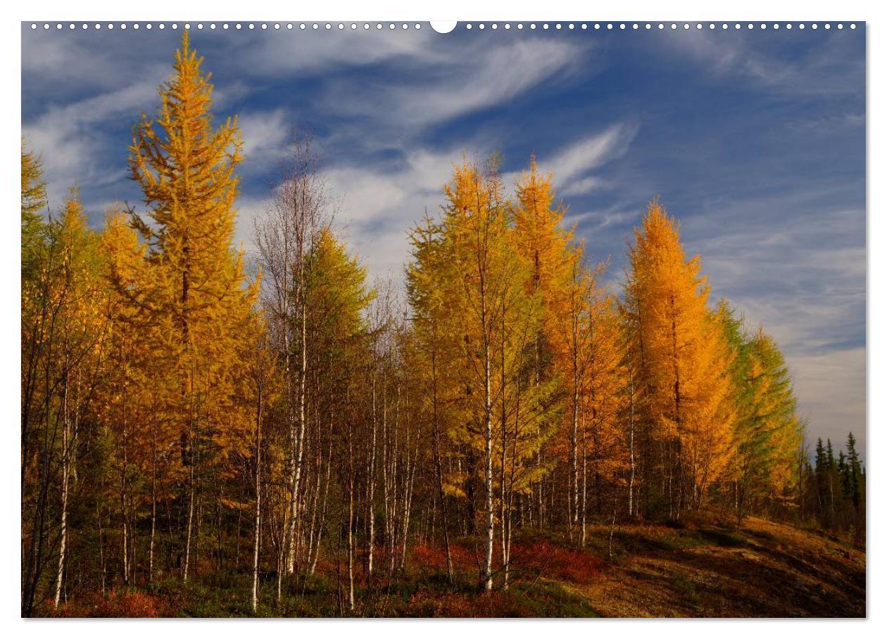 Bild: 9783435774562 | Lappland 2025 (hochwertiger Premium Wandkalender 2025 DIN A2 quer),...