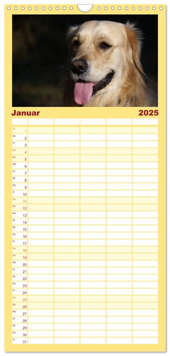 Bild: 9783457118184 | Familienplaner 2025 - Golden Retriever Power mit 5 Spalten...