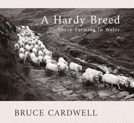 Cover: 9781781727218 | A Hardy Breed | Bruce Cardwell | Taschenbuch | 2023