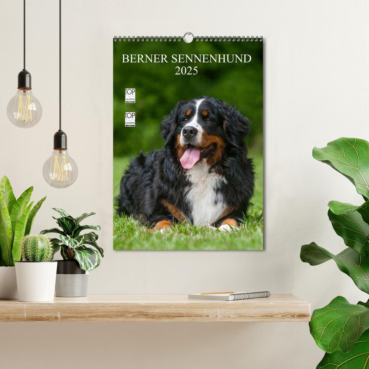 Bild: 9783457069172 | Berner Sennenhund 2025 (Wandkalender 2025 DIN A3 hoch), CALVENDO...