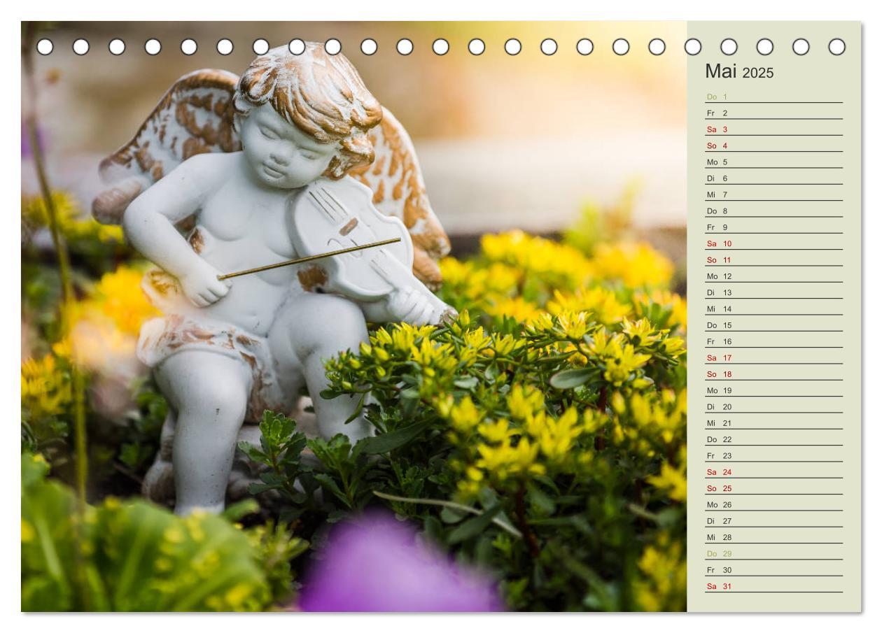 Bild: 9783435370818 | Engel - Begleiter für jeden Tag (Tischkalender 2025 DIN A5 quer),...