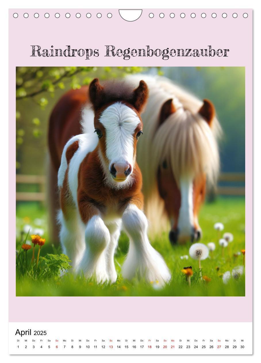 Bild: 9783435842780 | Tinker Ponys - Magische Momente, Gypsy Vanner für Mädchen...