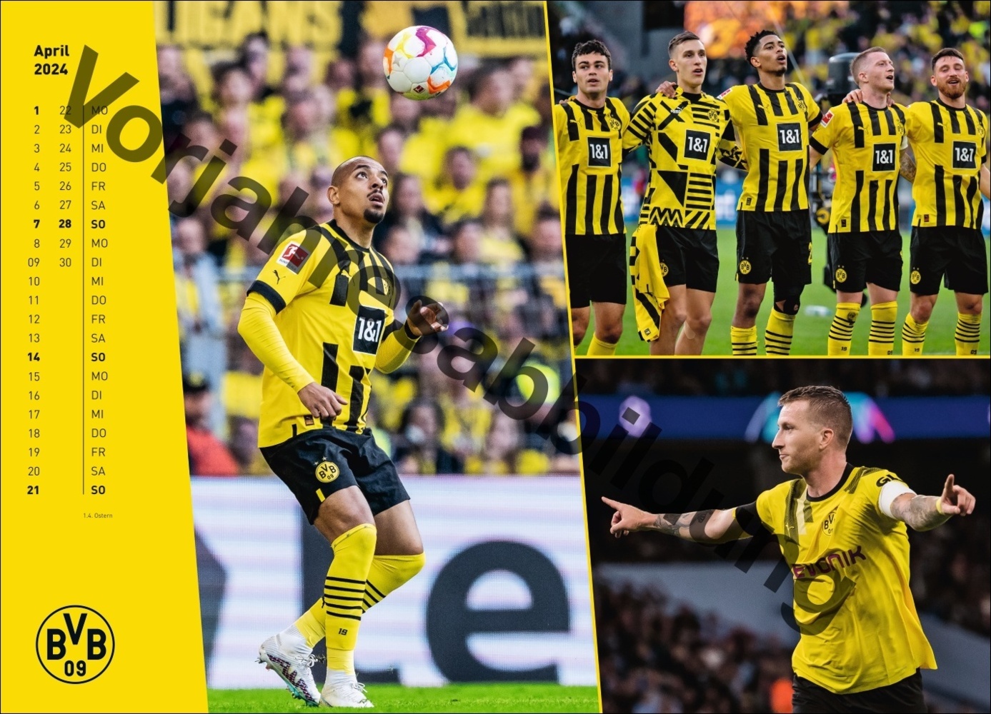 Bild: 9783756404735 | BVB Edition Kalender 2025 | Kalender | Spiralbindung | 14 S. | Deutsch