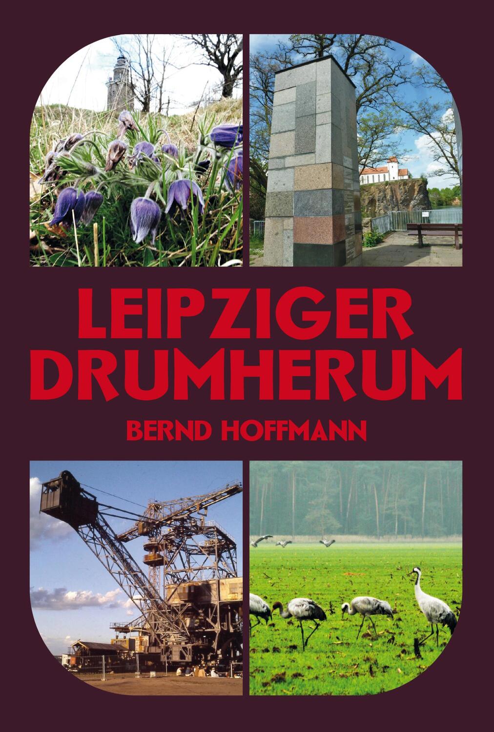 Cover: 9783949586132 | Leipziger Drumherum | Bernd Hoffmann | Taschenbuch | Deutsch | 2024