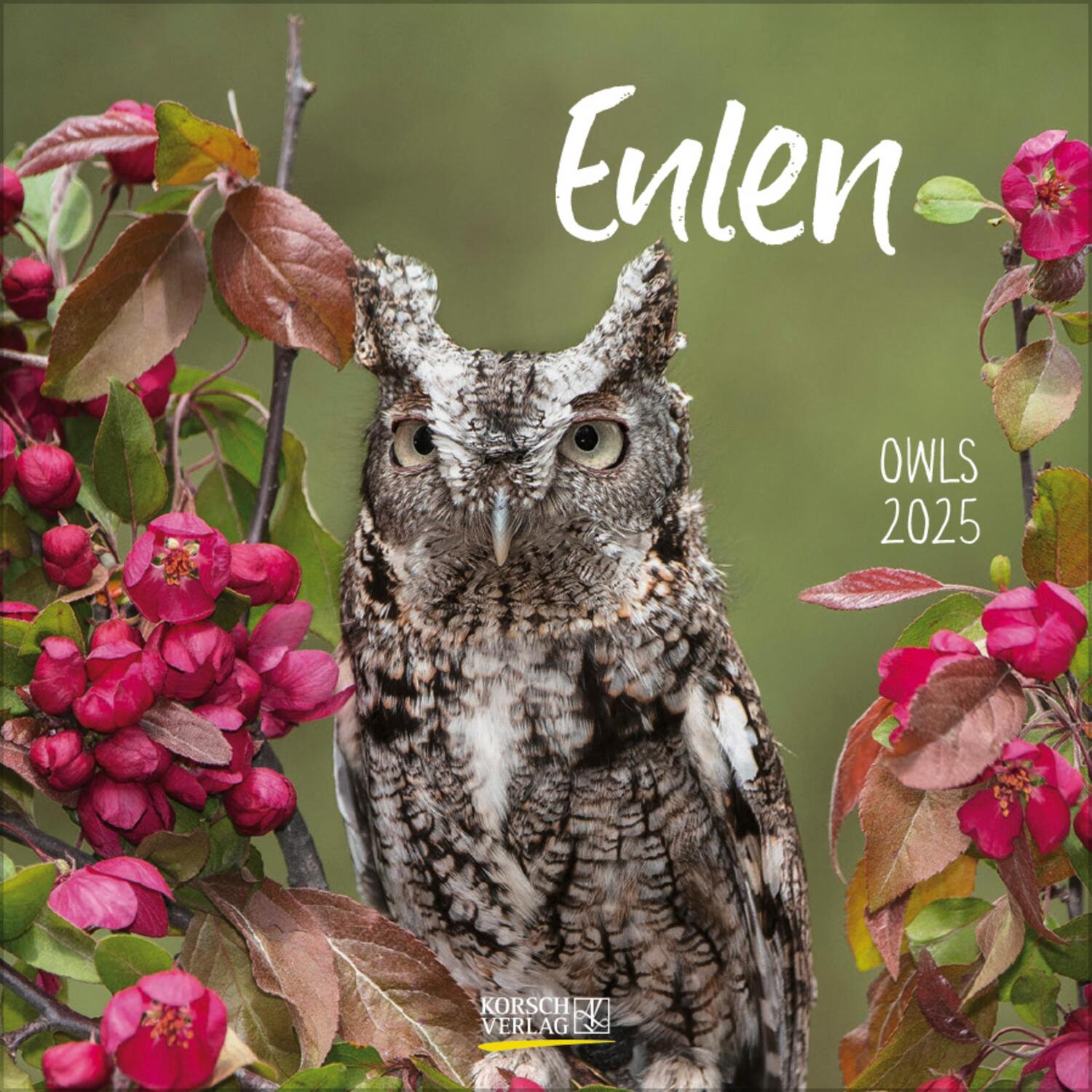 Cover: 9783731875727 | Eulen 2025 | Verlag Korsch | Kalender | 13 S. | Deutsch | 2025