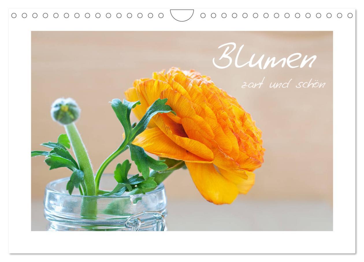 Cover: 9783435458745 | Blumen zart und schön (Wandkalender 2025 DIN A4 quer), CALVENDO...