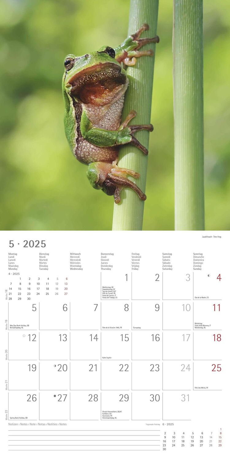 Bild: 4251732340803 | Wald und Flur 2025 - Broschürenkalender 30x30 cm (30x60 geöffnet) -...