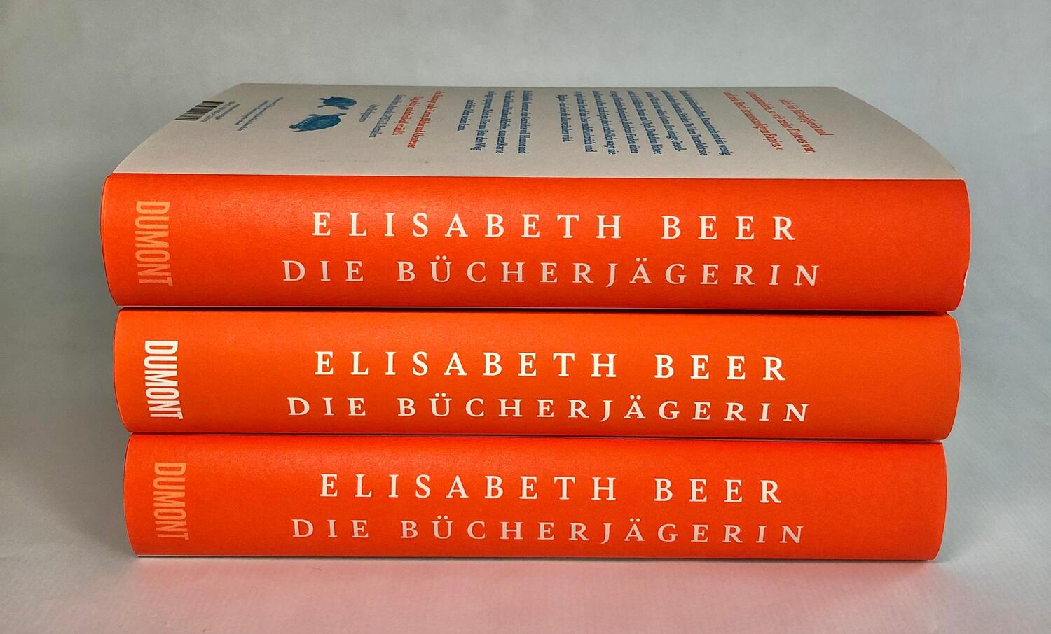 Bild: 9783832166380 | Die Bücherjägerin | Roman | Elisabeth Beer | Buch | 432 S. | Deutsch