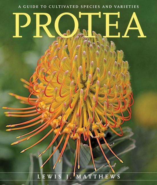 Cover: 9780824856700 | Protea | A Guide to Cultivated Species and Varieties | Matthews | Buch