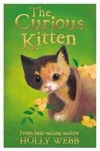Cover: 9781847156617 | The Curious Kitten | Holly Webb | Taschenbuch | Englisch | 2016