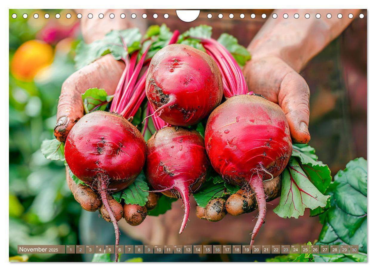 Bild: 9783383795572 | Mein Gemüsegarten - Ein Jahr knackig frisches Gemüse (Wandkalender...