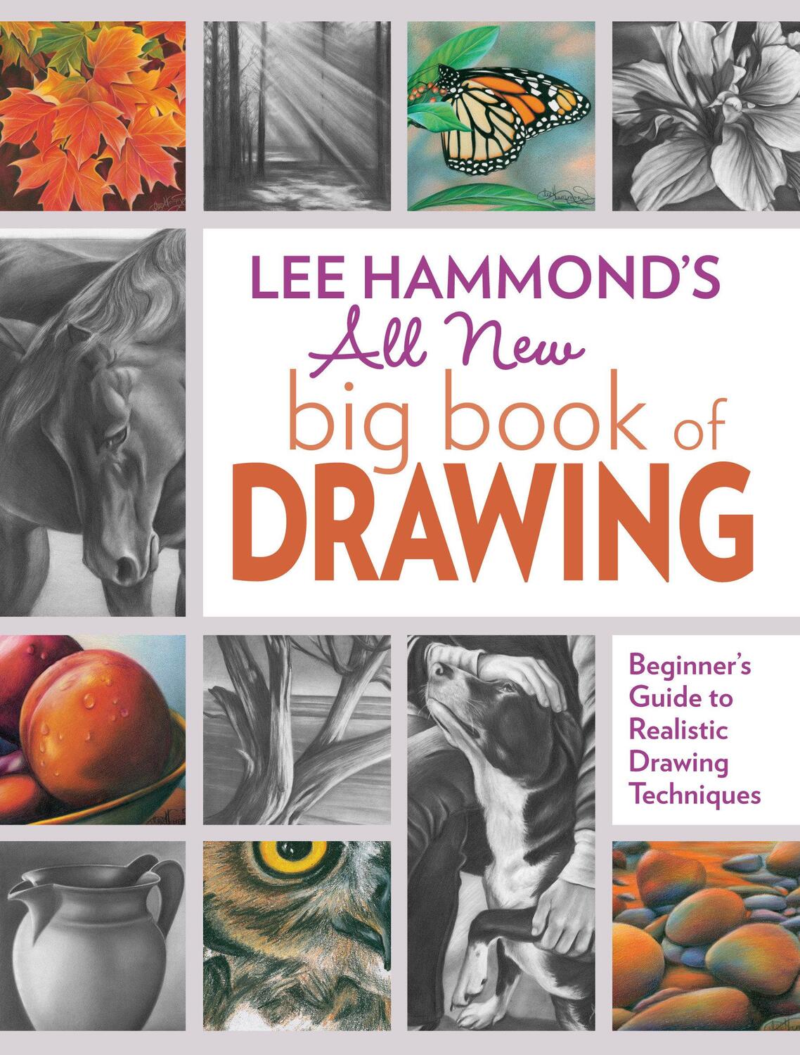 Cover: 9781440343094 | Lee Hammond's All New Big Book of Drawing | Lee Hammond | Taschenbuch