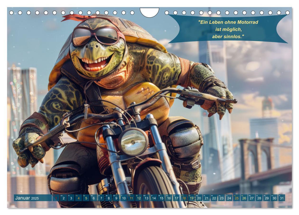 Bild: 9783457166048 | Tierisch lustige Motorradfahrer (Wandkalender 2025 DIN A4 quer),...