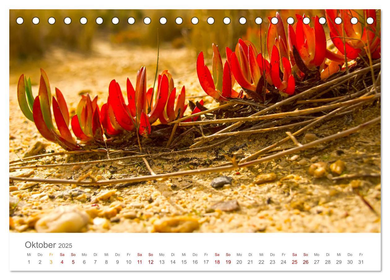 Bild: 9783435121762 | Alentejo Portugal - Küstenimpressionen (Tischkalender 2025 DIN A5...