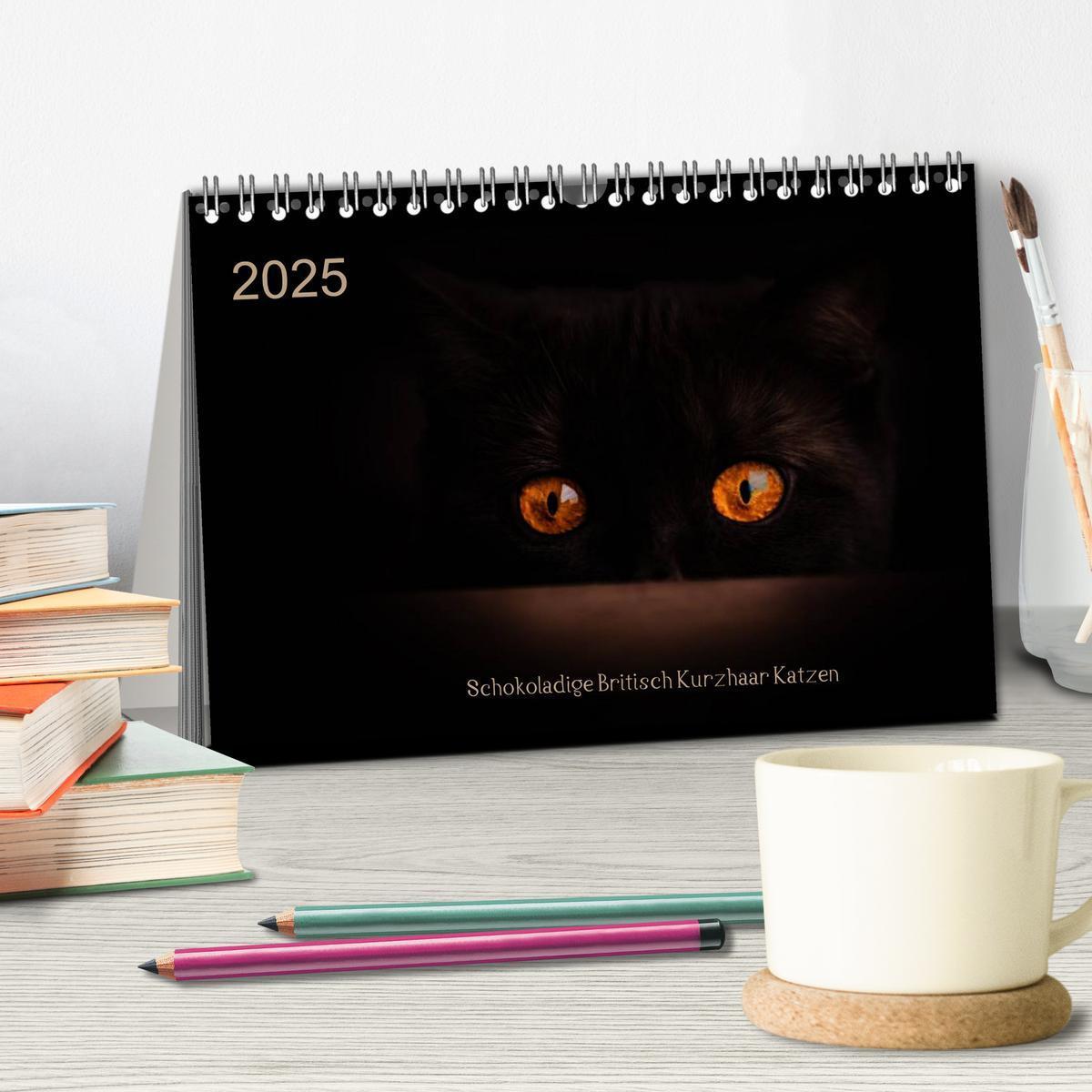 Bild: 9783435478453 | Schokoladige Britisch Kurzhaar Katzen (Tischkalender 2025 DIN A5...