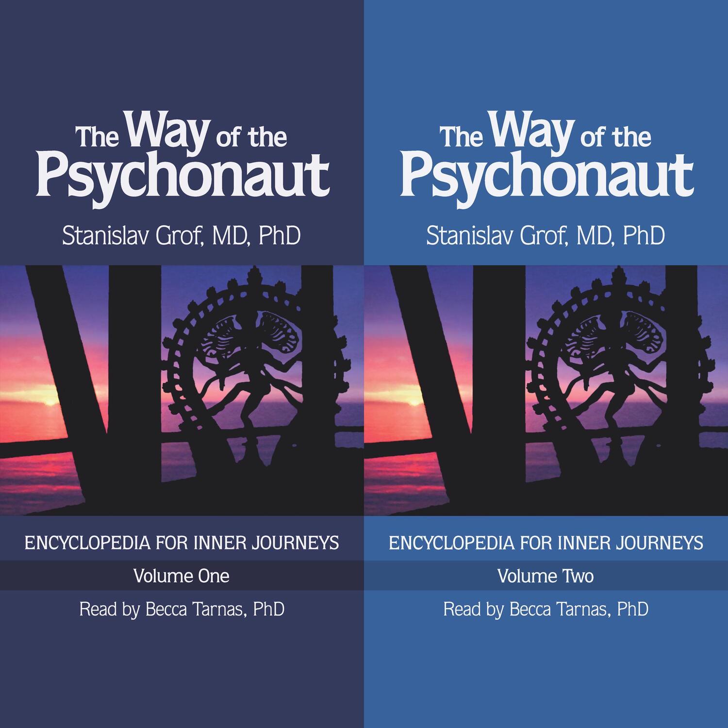 Bild: 9780998276595 | The Way of the Psychonaut Vol. 1 | Encyclopedia for Inner Journeys