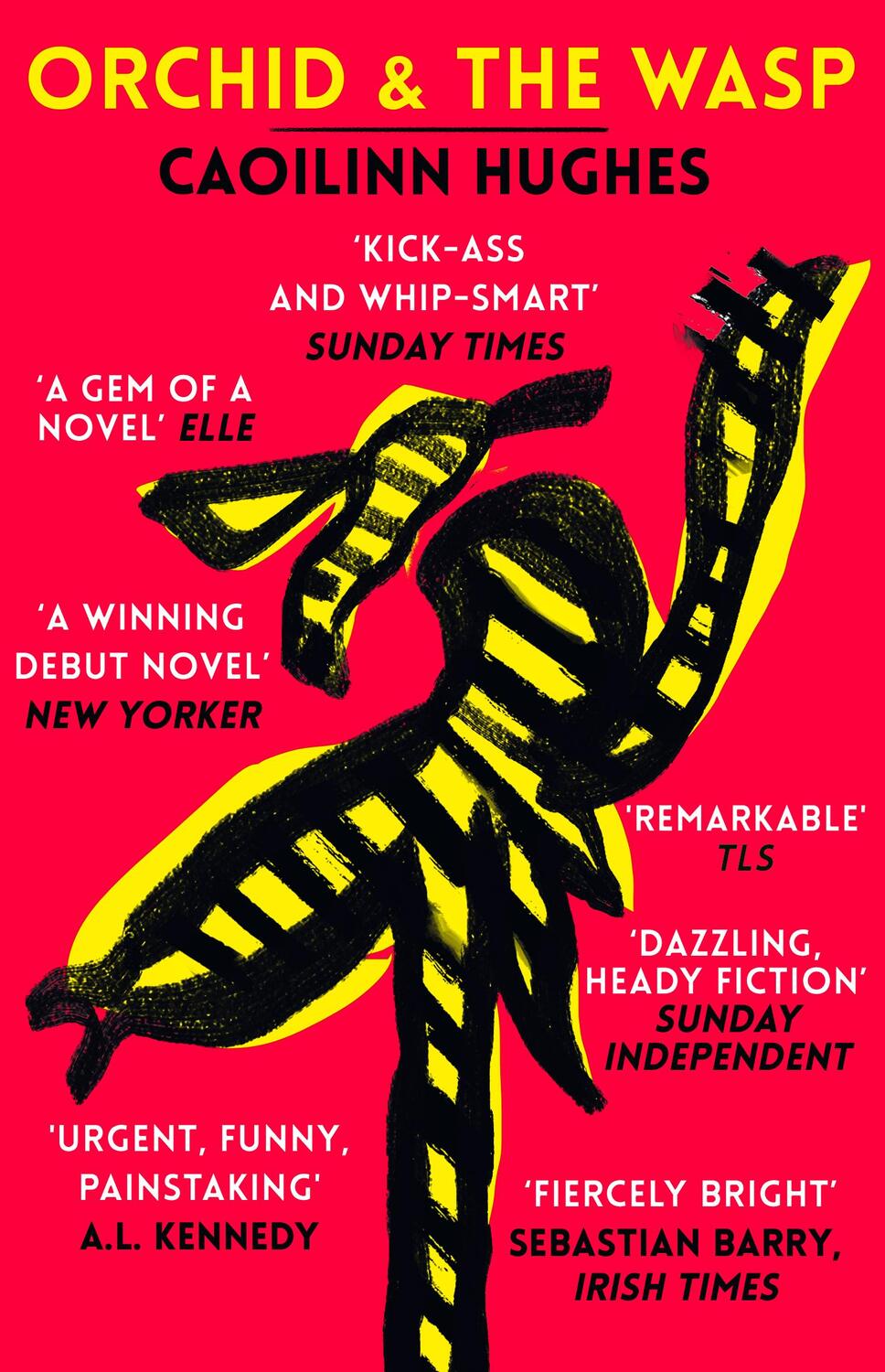 Cover: 9781786074997 | Orchid &amp; the Wasp | Caoilinn Hughes | Taschenbuch | 352 S. | Englisch