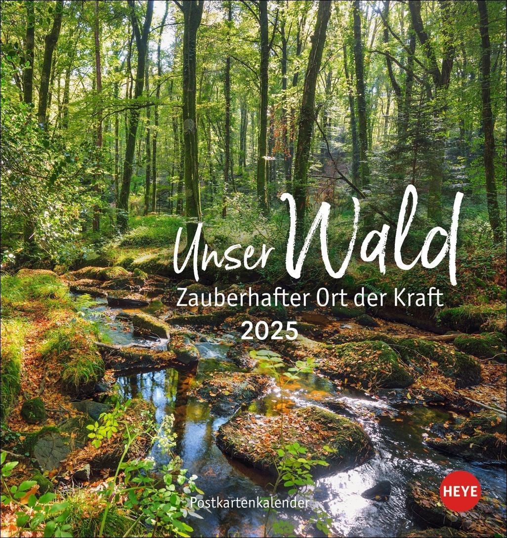 Cover: 9783756407118 | Unser Wald Postkartenkalender 2025 - zauberhafter Ort der Kraft | Heye