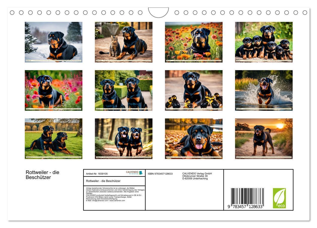 Bild: 9783457128633 | Rottweiler - die Beschützer (Wandkalender 2025 DIN A4 quer),...