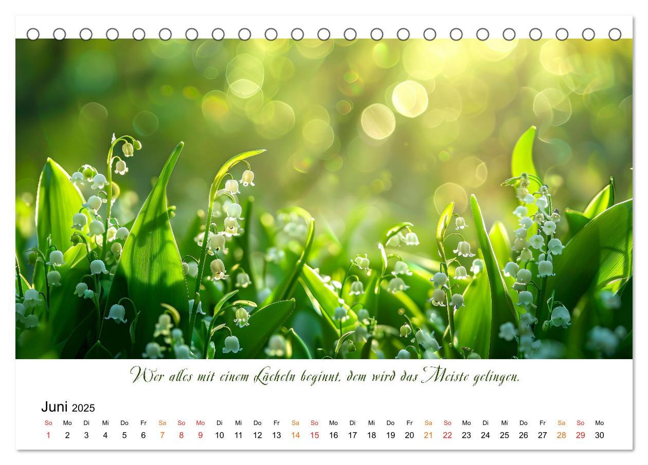 Bild: 9783383814624 | Freu Dich Motivations-Kalender (Tischkalender 2025 DIN A5 quer),...