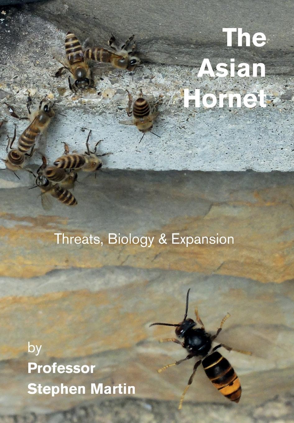 Cover: 9780860982814 | The Asian Hornet | Threats, Biology &amp; Expansion | Stephen John Martin