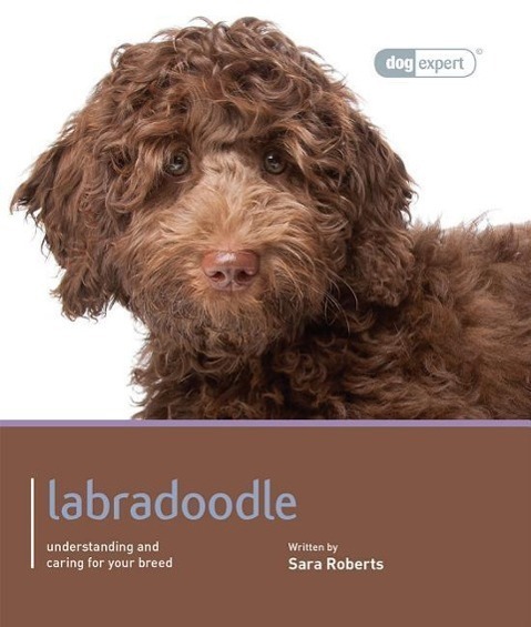Cover: 9781906305734 | LABRADOODLE | Sara Roberts | Dog Expert | Kartoniert / Broschiert