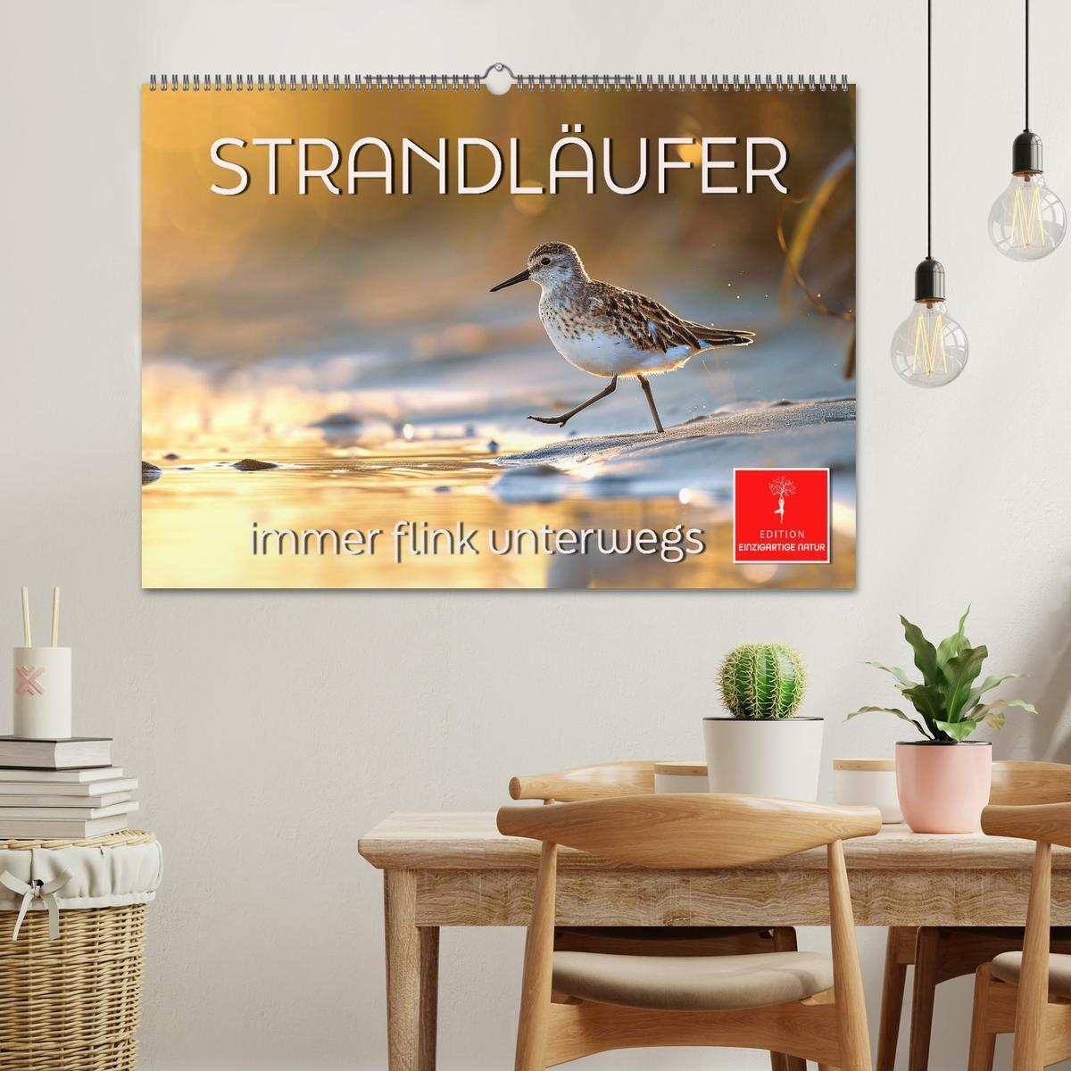 Bild: 9783383768415 | Strandläufer - immer flink unterwegs (Wandkalender 2025 DIN A2...