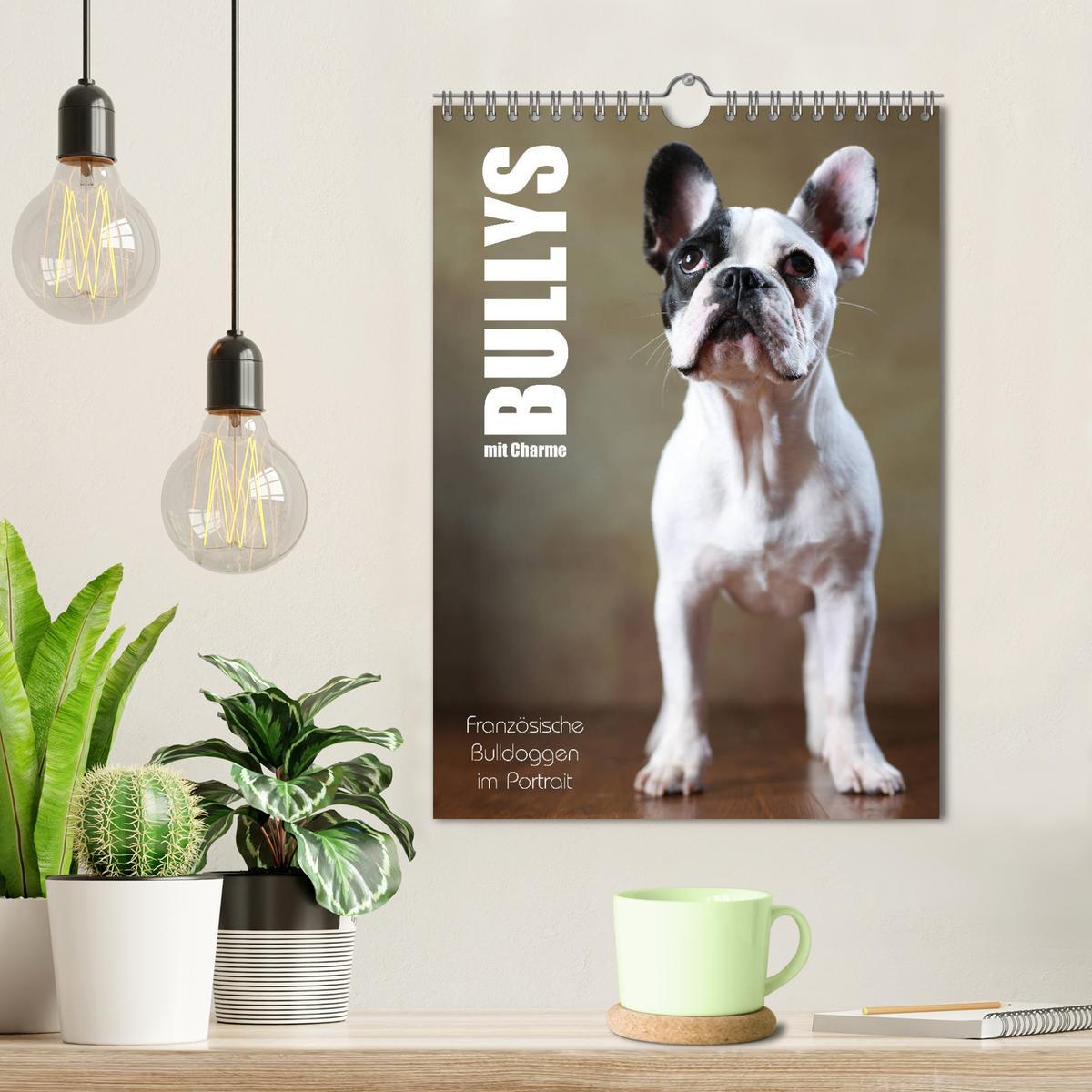 Bild: 9783457003756 | Bullys mit Charme - Französische Bulldoggen im Portrait...