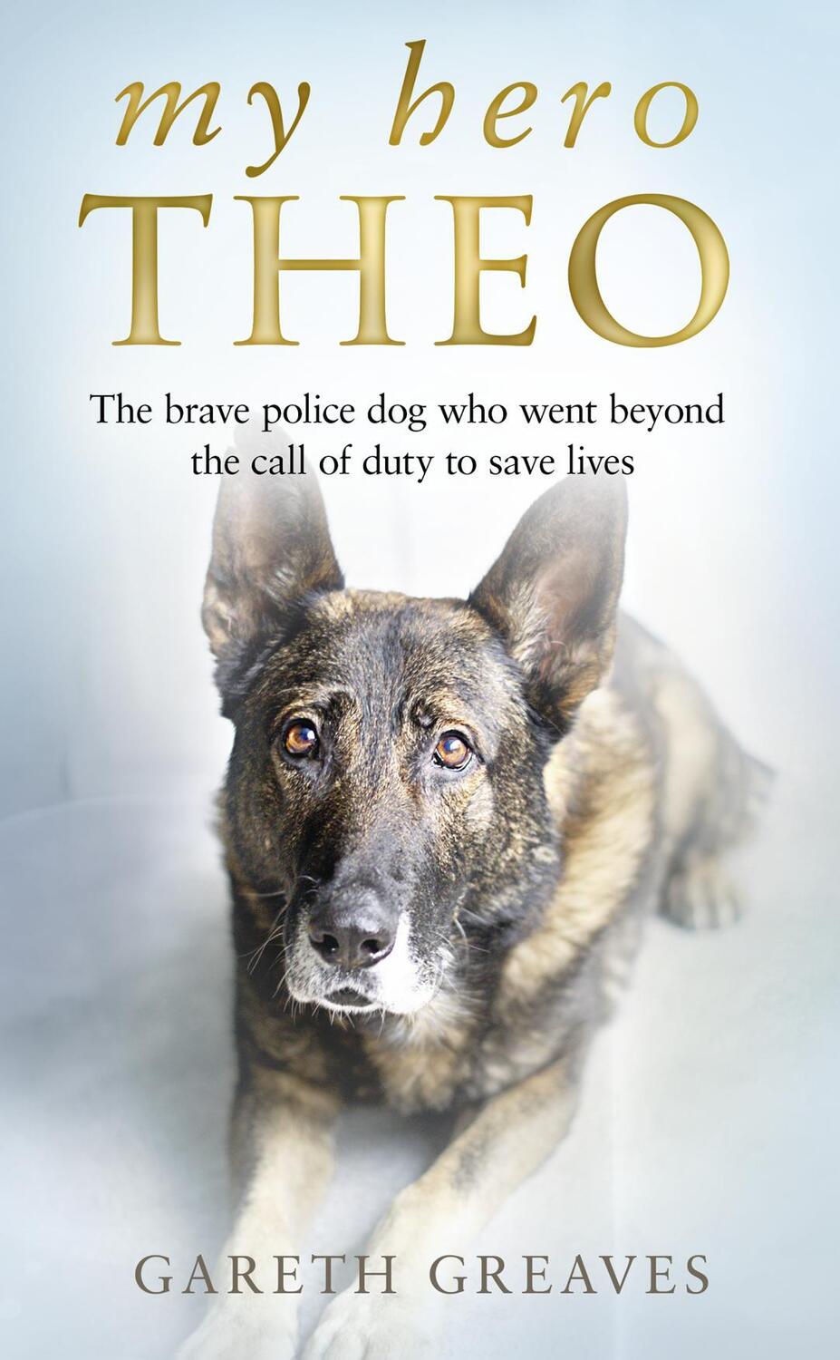 Cover: 9780008385224 | My Hero Theo | Gareth Greaves | Buch | Gebunden | Englisch | 2020