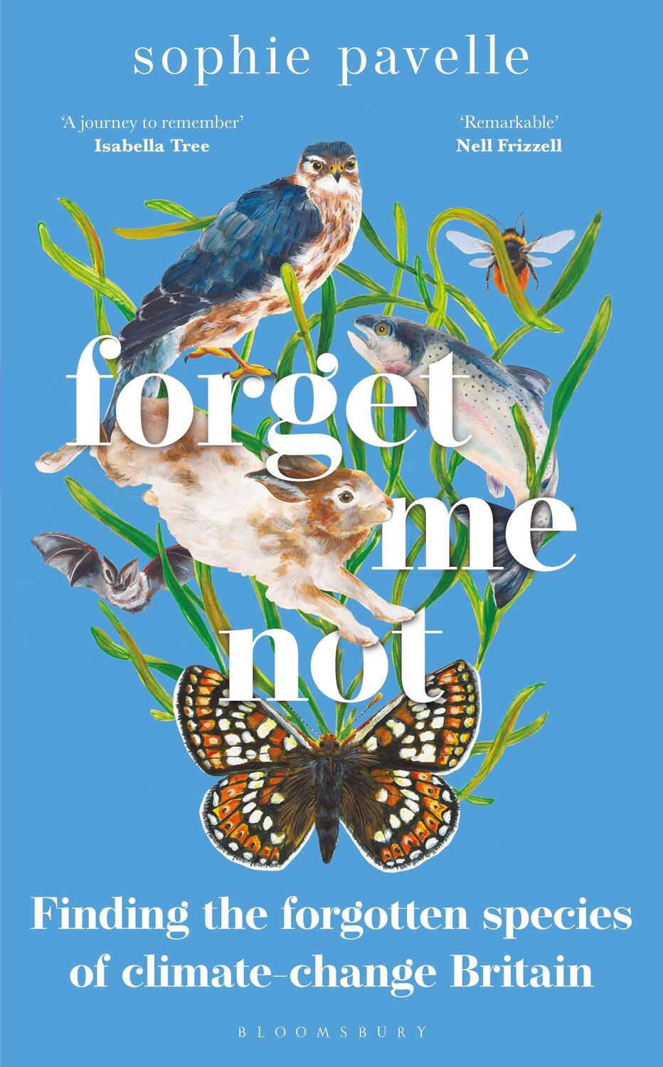 Cover: 9781472986214 | Forget Me Not | Sophie Pavelle | Buch | Gebunden | Englisch | 2022