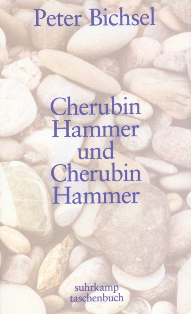 Cover: 9783518396650 | Cherubin Hammer und Cherubin Hammer | Peter Bichsel | Taschenbuch