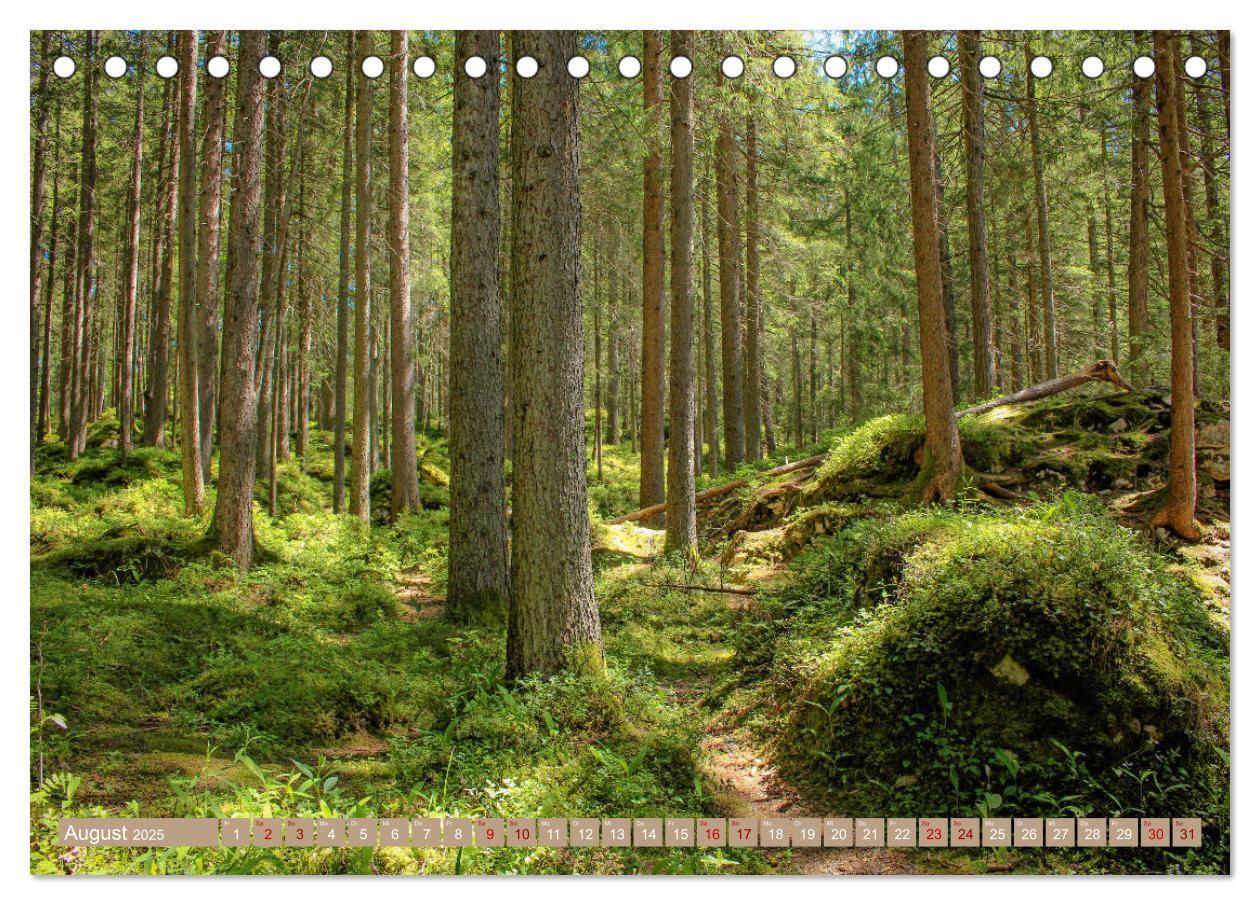 Bild: 9783383773266 | Der Wald - Ort der Ruhe und Besinnung (Tischkalender 2025 DIN A5...