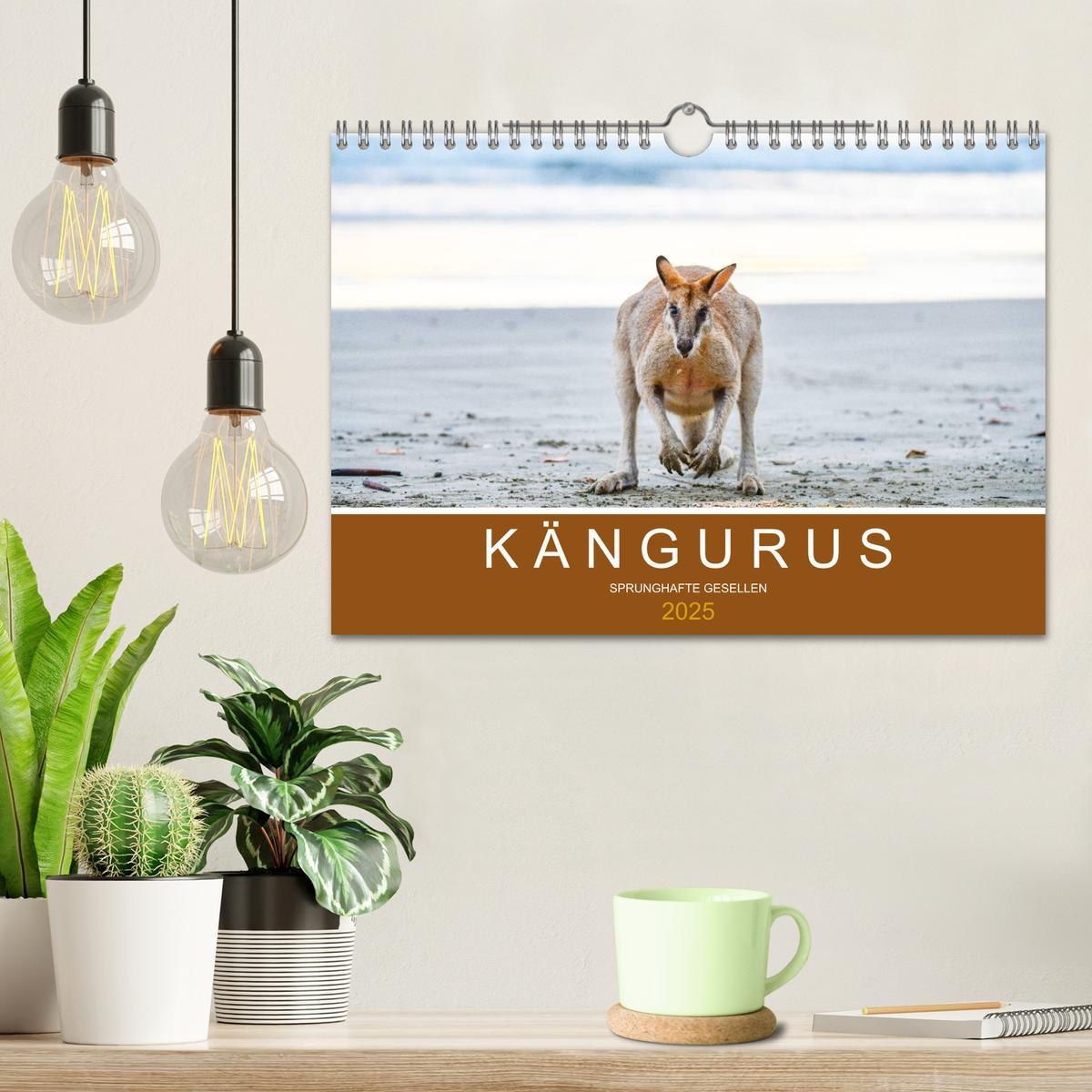 Bild: 9783435189670 | Kängurus, sprunghafte Gesellen (Wandkalender 2025 DIN A4 quer),...