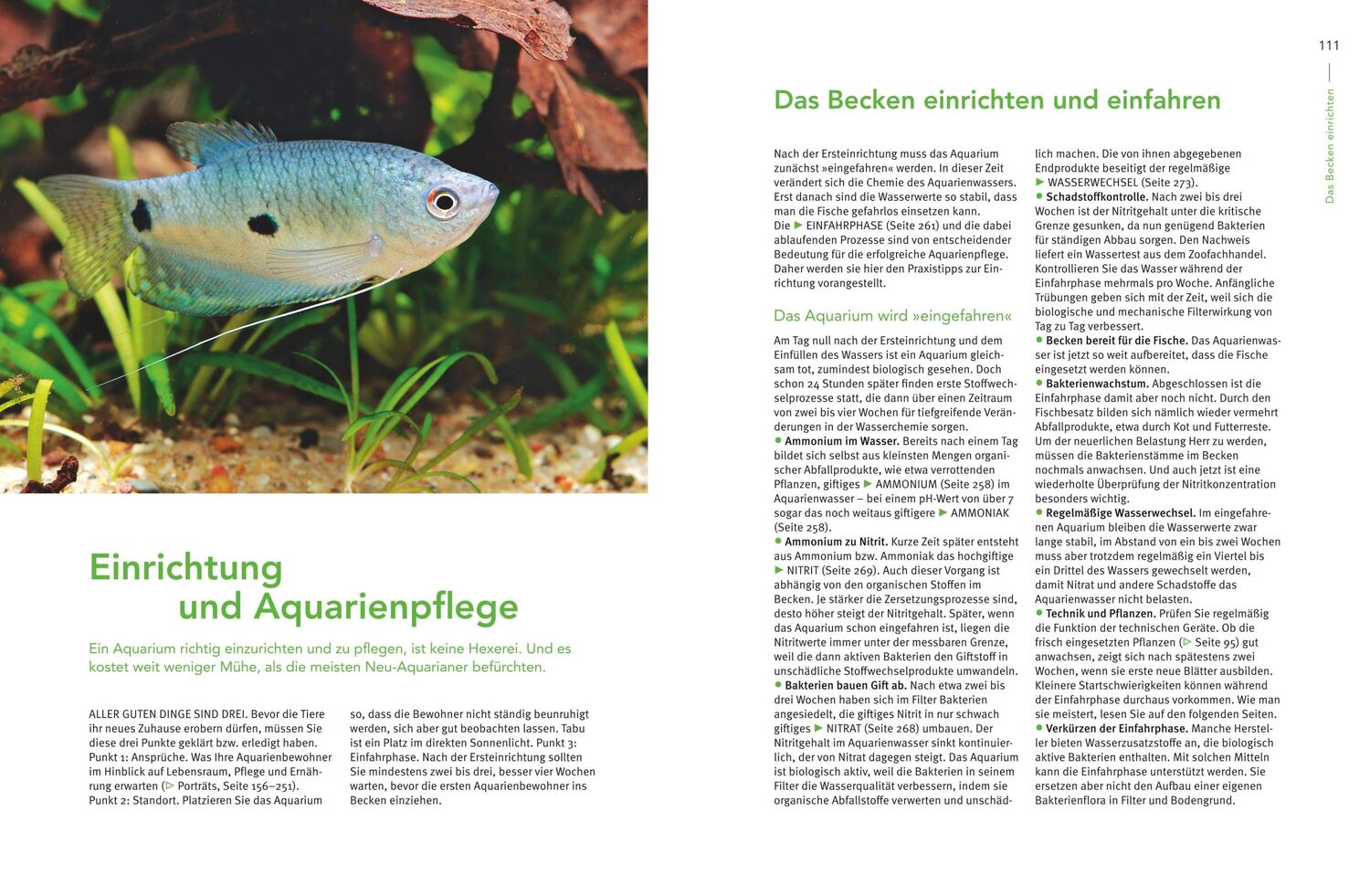 Bild: 9783833861390 | Praxishandbuch Aquarium | Ulrich Schliewen | Buch | 288 S. | Deutsch