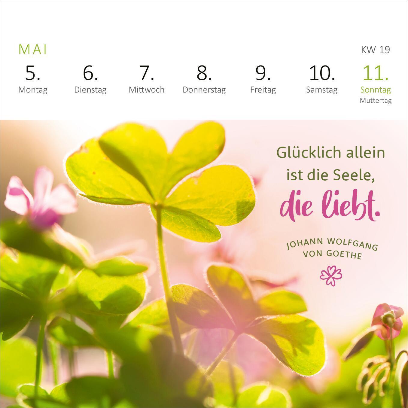 Bild: 4014489133070 | Mini-Wochenkalender Ein Jahr voll Glück 2025 | Kalender | 108 S.