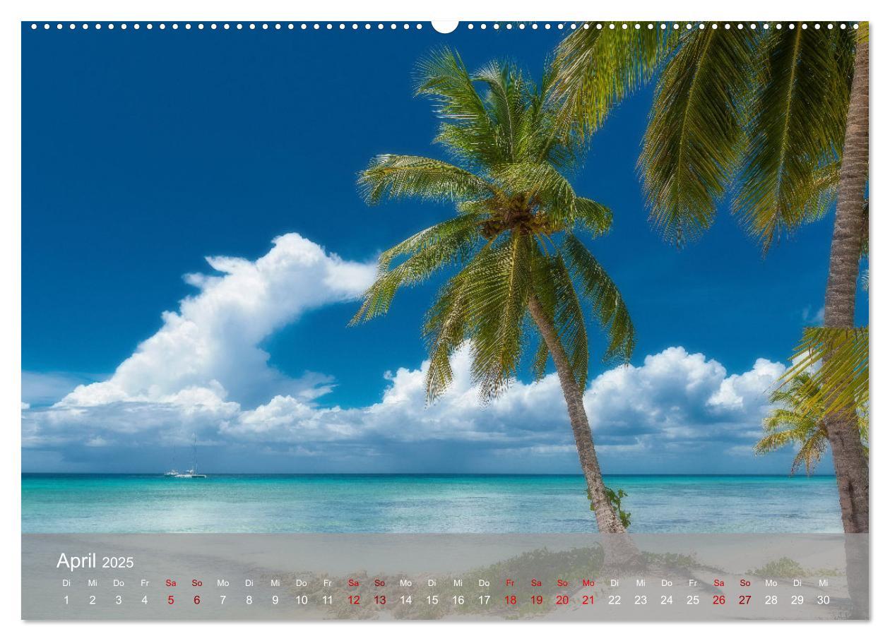 Bild: 9783435022137 | Karibik Traum Isla Saona (Wandkalender 2025 DIN A2 quer), CALVENDO...