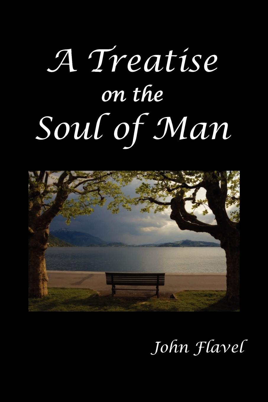 Cover: 9781849025881 | A Treatise of the Soul of Man | John Flavel | Taschenbuch | Englisch