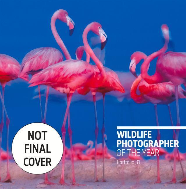 Cover: 9780565095208 | Wildlife Photographer of the Year | Portfolio 31 | Buch | Englisch