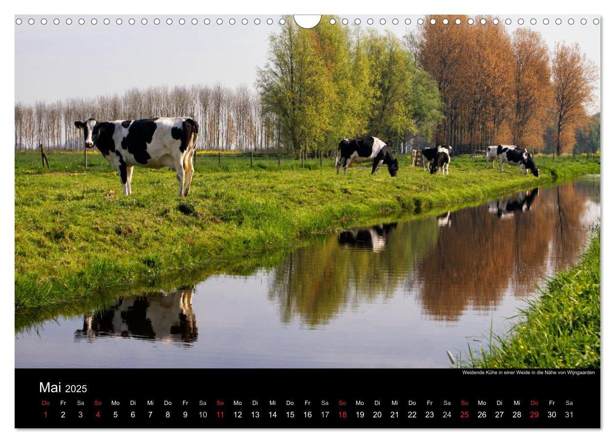 Bild: 9783435585649 | HOLLÄNDISCHE LANDSCHAFTEN: ALBLASSERWAARD 2025 (Wandkalender 2025...