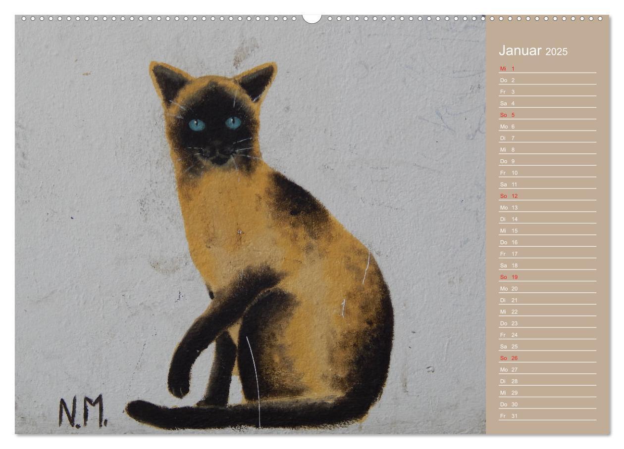 Bild: 9783435289691 | Flensburger Katzen (Wandkalender 2025 DIN A2 quer), CALVENDO...