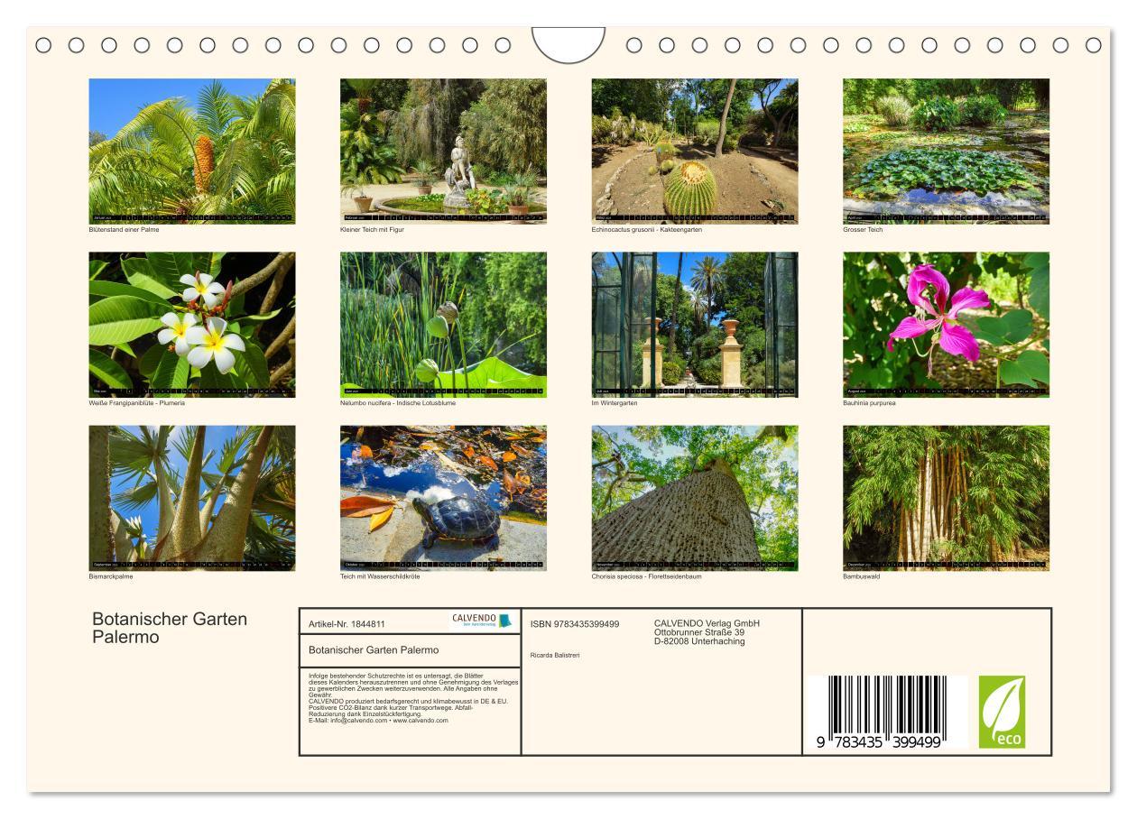 Bild: 9783435399499 | Botanischer Garten Palermo (Wandkalender 2025 DIN A4 quer),...