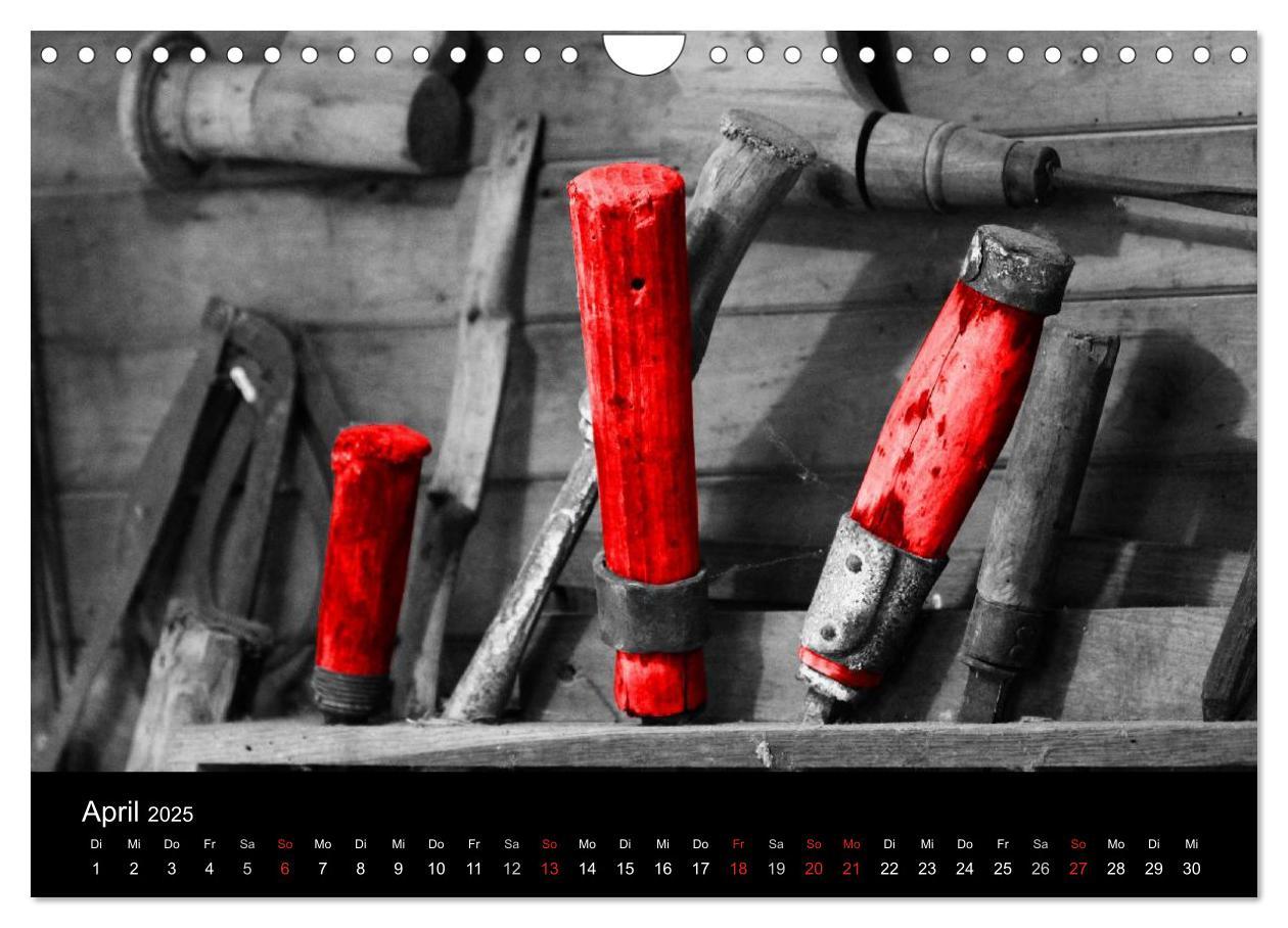 Bild: 9783435704866 | Blickfang in Rot (Wandkalender 2025 DIN A4 quer), CALVENDO...