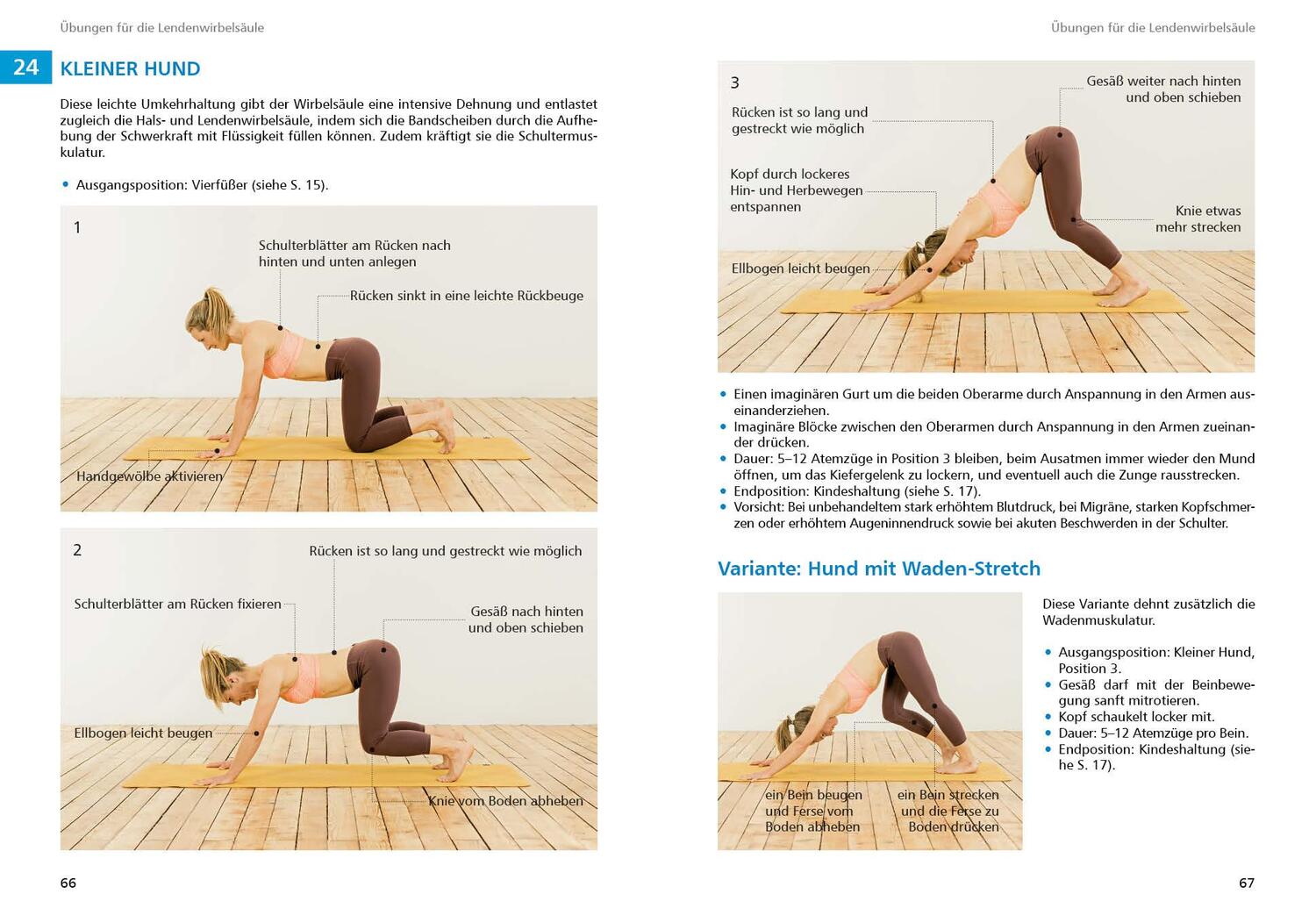 Bild: 9783763360864 | Yoga für Kletterer und Bergsportler | Petra Zink | Buch | 166 S.