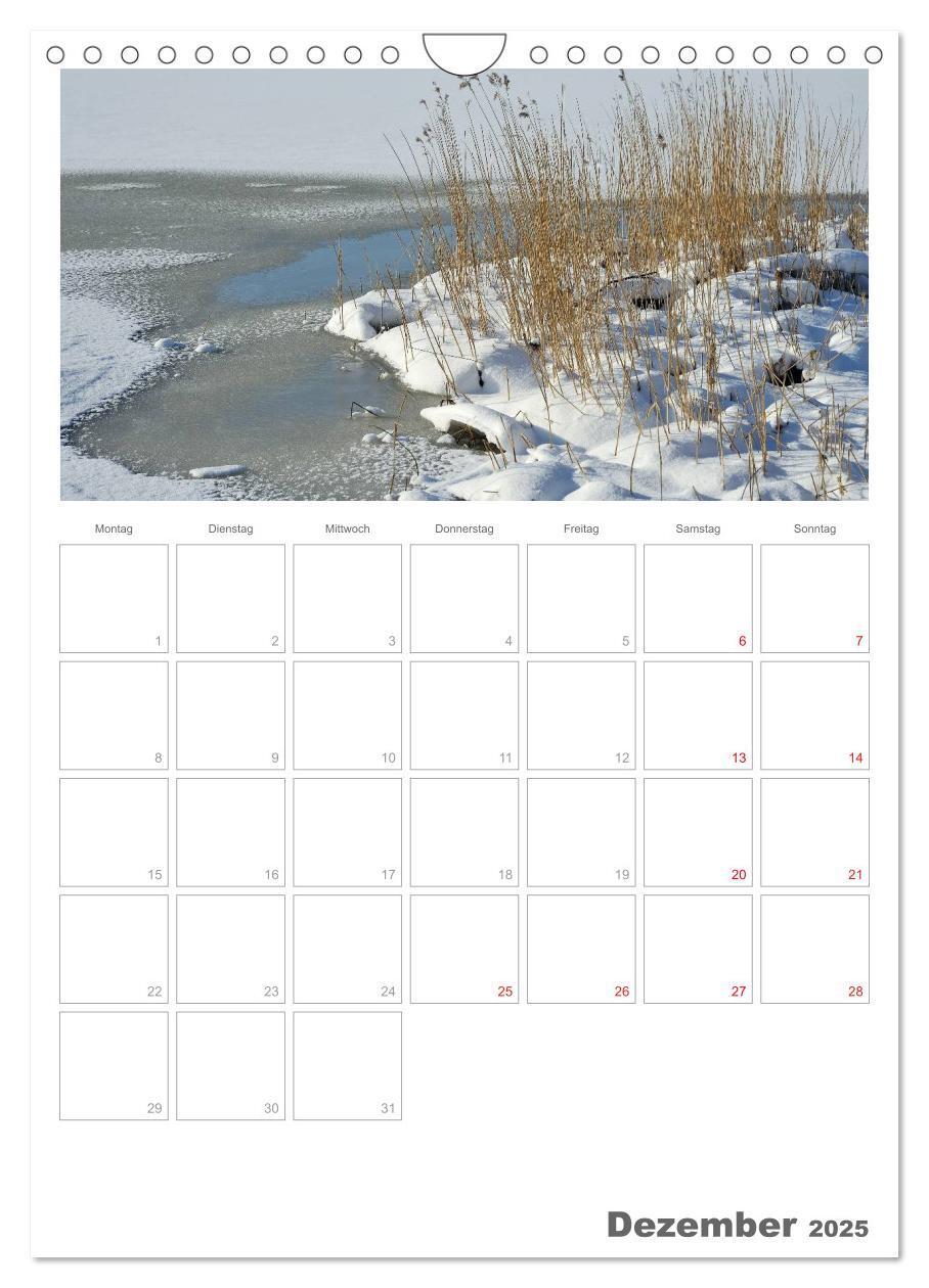 Bild: 9783457088340 | Insel Rügen / Planer (Wandkalender 2025 DIN A4 hoch), CALVENDO...