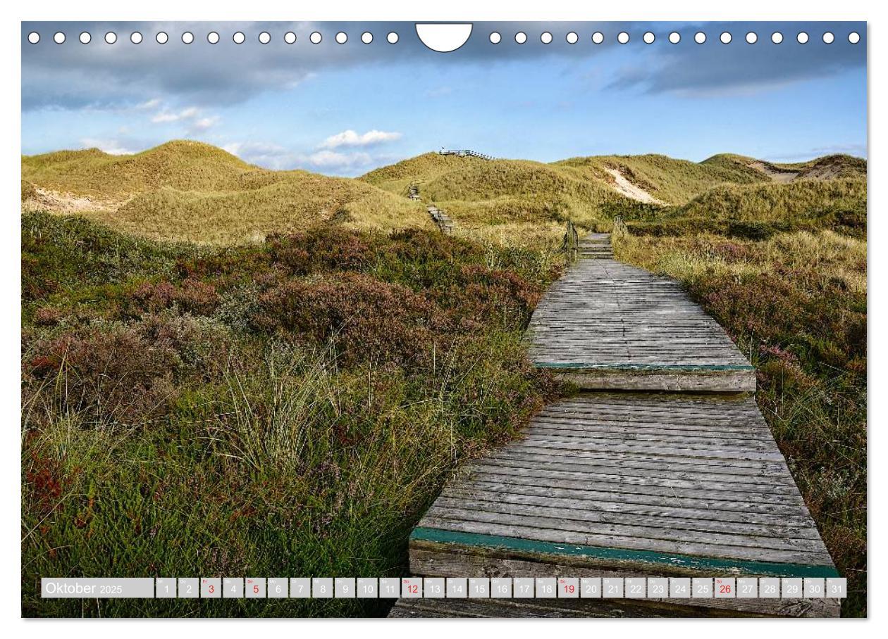 Bild: 9783435715633 | Amrum, die Perle in der Nordsee (Wandkalender 2025 DIN A4 quer),...