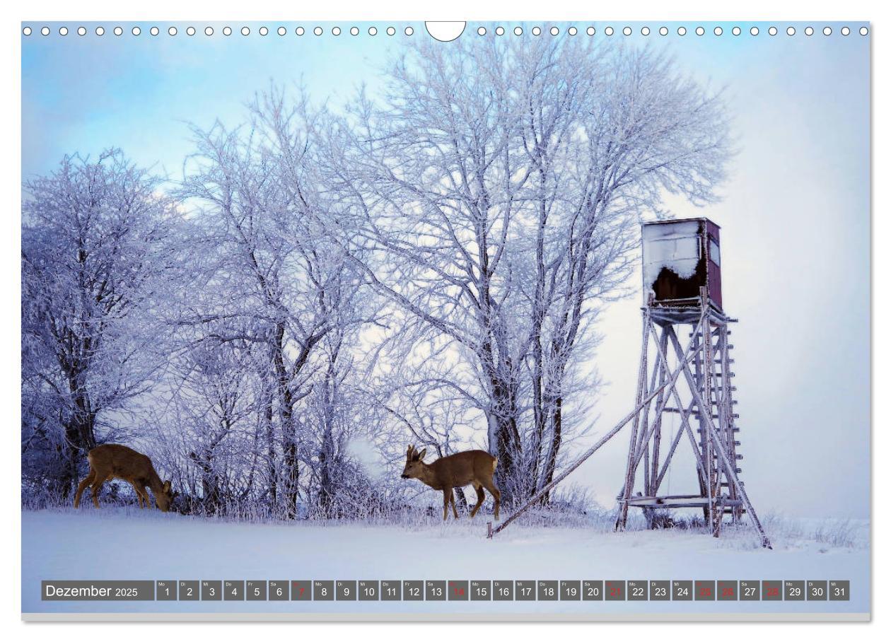 Bild: 9783435201518 | Zauberhafte Schwalm (Wandkalender 2025 DIN A3 quer), CALVENDO...