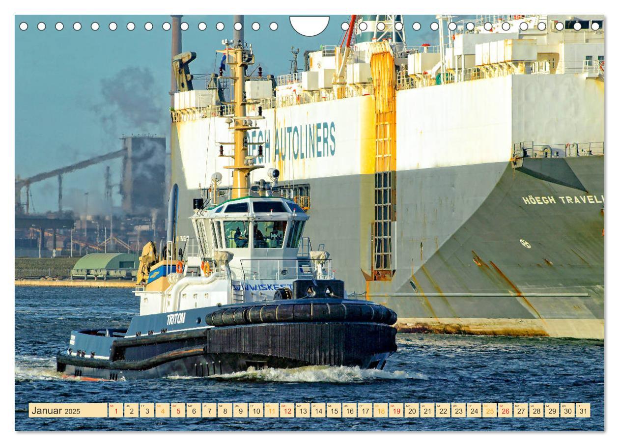 Bild: 9783435278664 | Schlepper - bärenstarke Arbeitstiere (Wandkalender 2025 DIN A4...