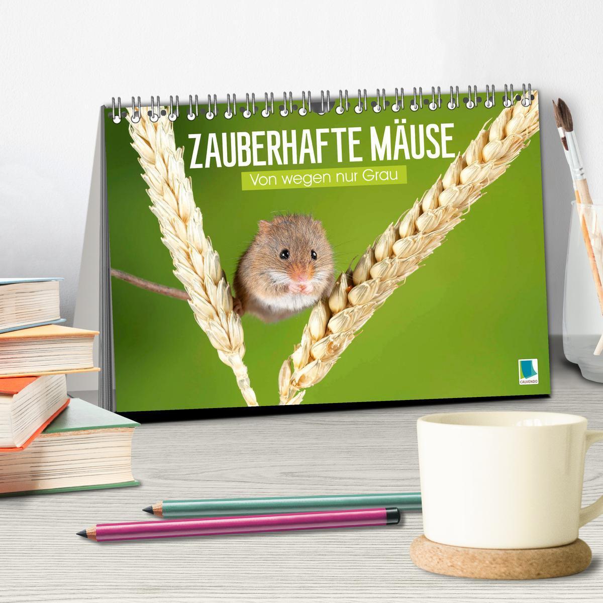 Bild: 9783457198001 | Zauberhafte Mäuse: Von wegen nur Grau (Tischkalender 2025 DIN A5...